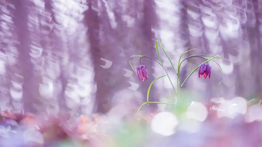 打球的唯美句子：在球场上留下属于自己的精彩时刻(图2)