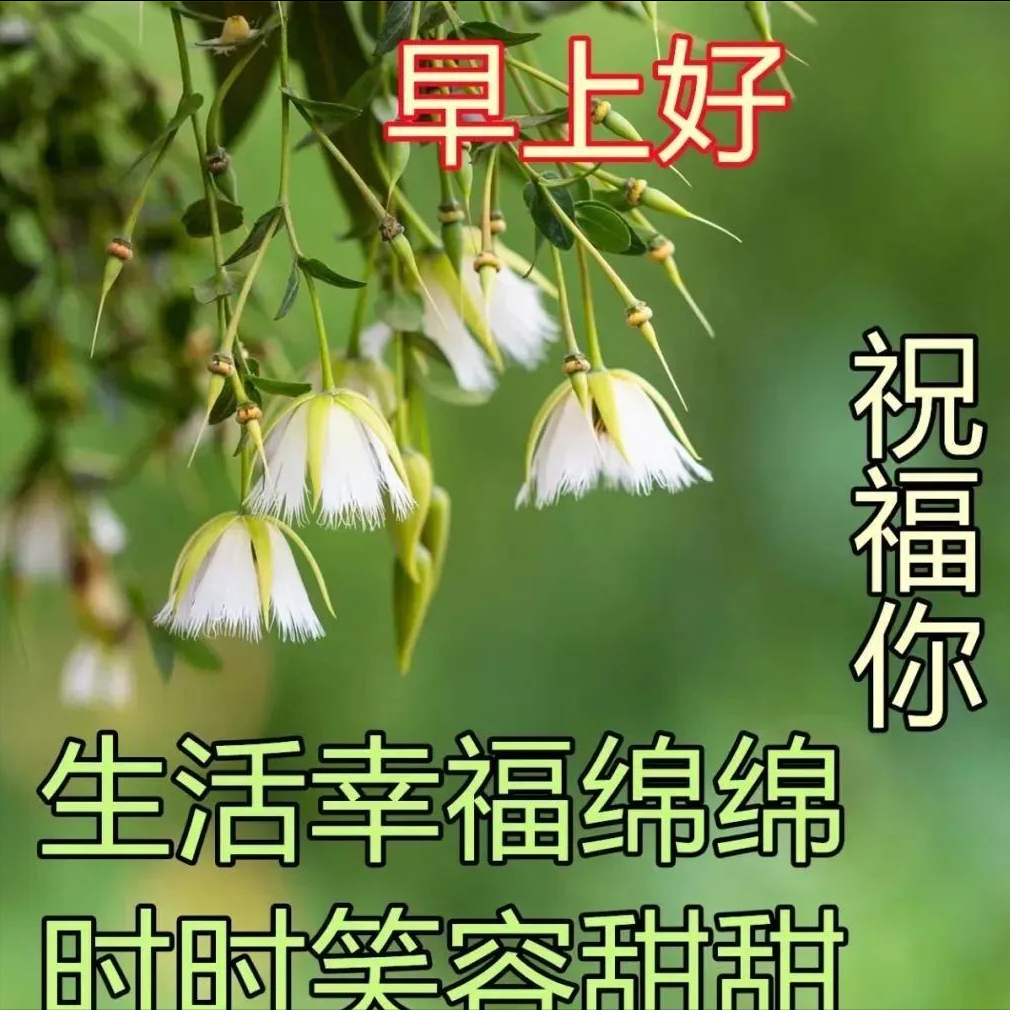 激励自己奋斗的正能量励志语录，洒脱干净的早安心语短句(图2)