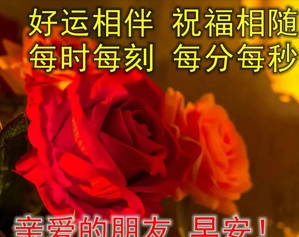 激励自己奋斗的正能量励志语录，洒脱干净的早安心语短句(图5)