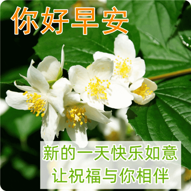 激励自己奋斗的正能量励志语录，洒脱干净的早安心语短句(图6)