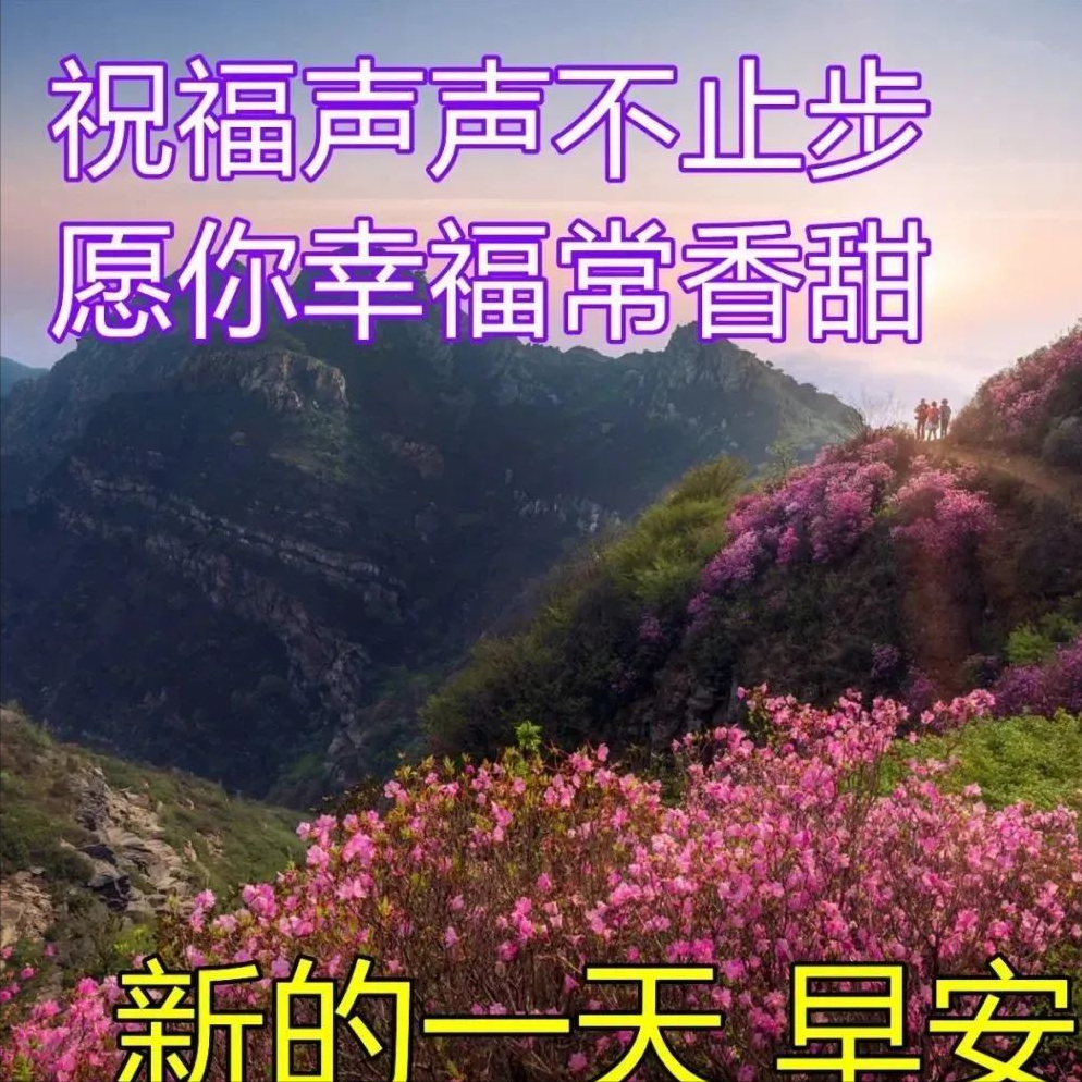 激励自己奋斗的正能量励志语录，洒脱干净的早安心语短句(图9)