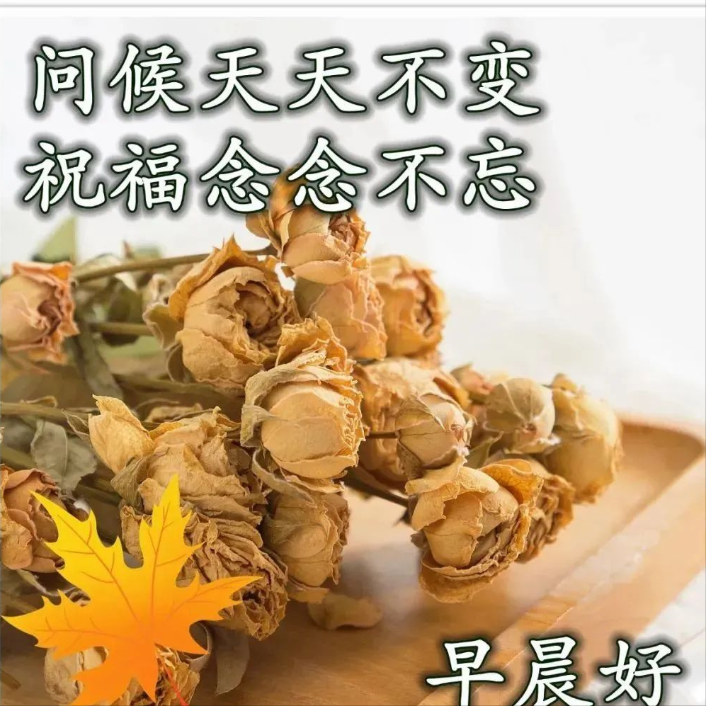 激励自己奋斗的正能量励志语录，洒脱干净的早安心语短句(图10)