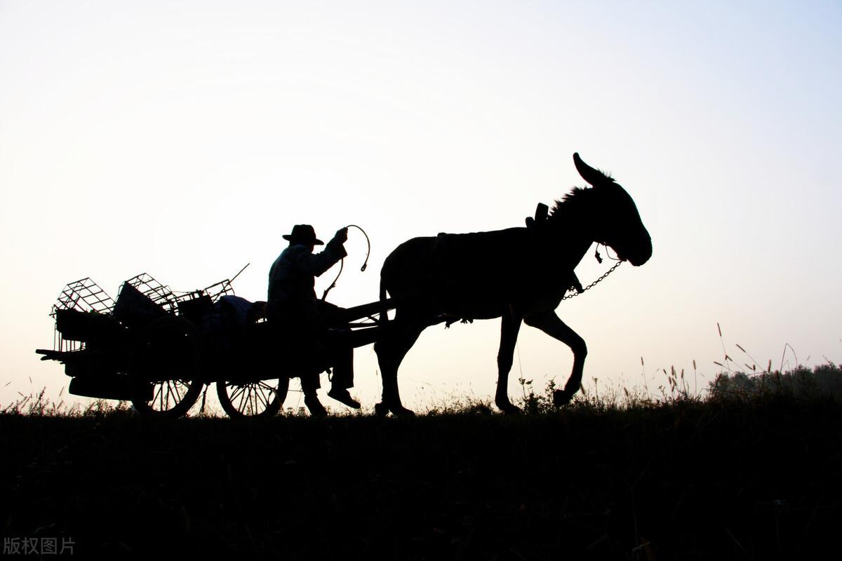 王志文主演的《黑冰》中最经典的台词（浅析）(图3)