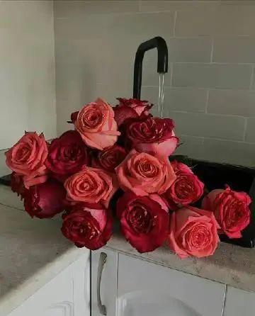 很励志让自己努力的语录，致为梦想奔跑的人！(图5)