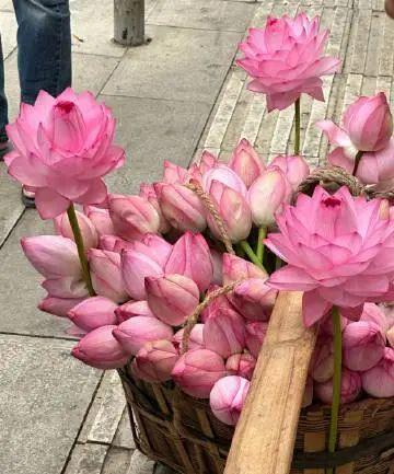 很励志让自己努力的语录，致为梦想奔跑的人！(图7)