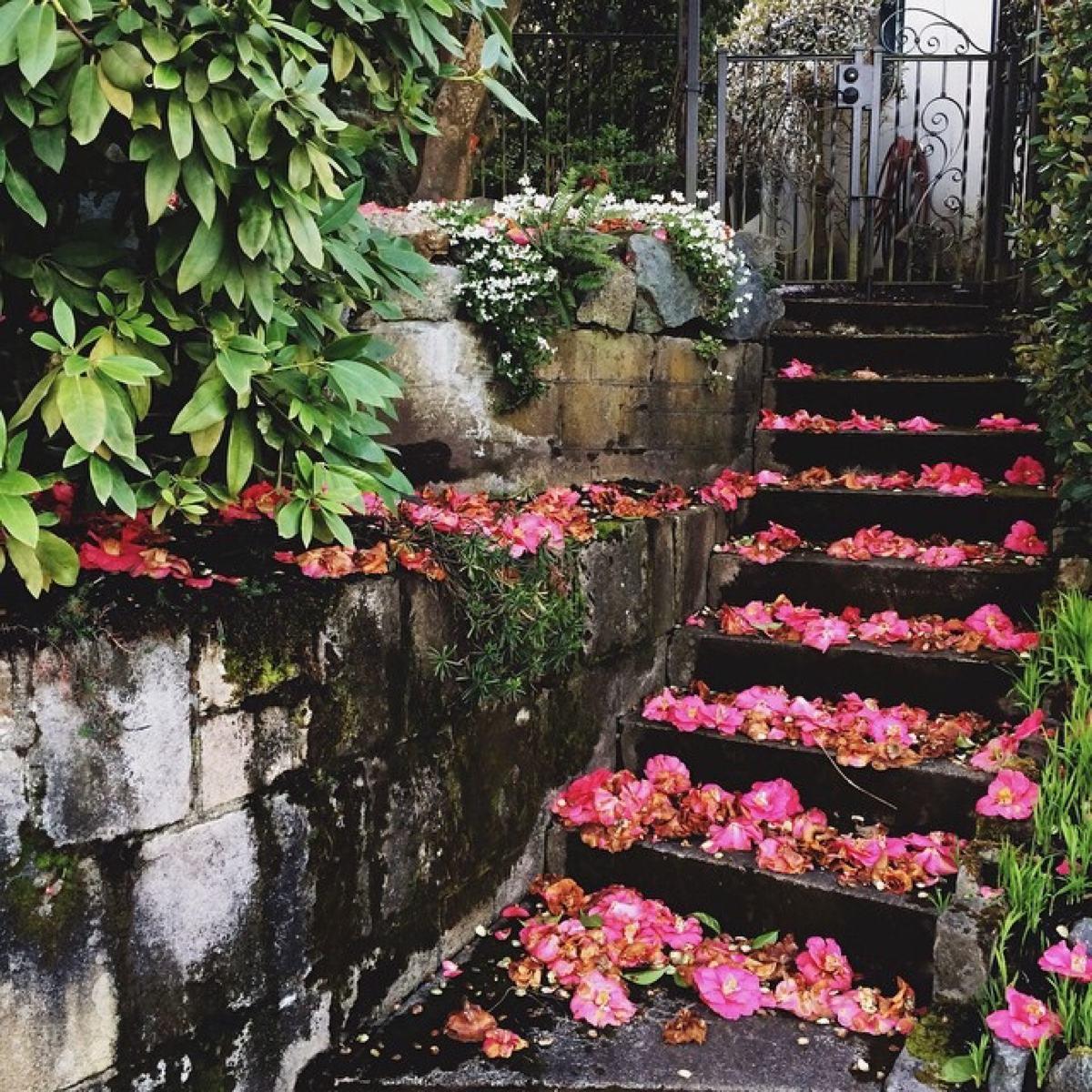 一首耳熟能详的五言小诗，短短20字，通俗易懂，却饱含深意且经典(图4)