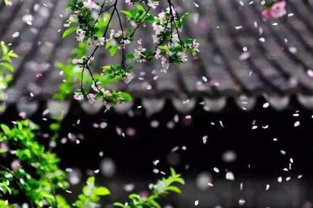 一首耳熟能详的五言小诗，短短20字，通俗易懂，却饱含深意且经典(图5)