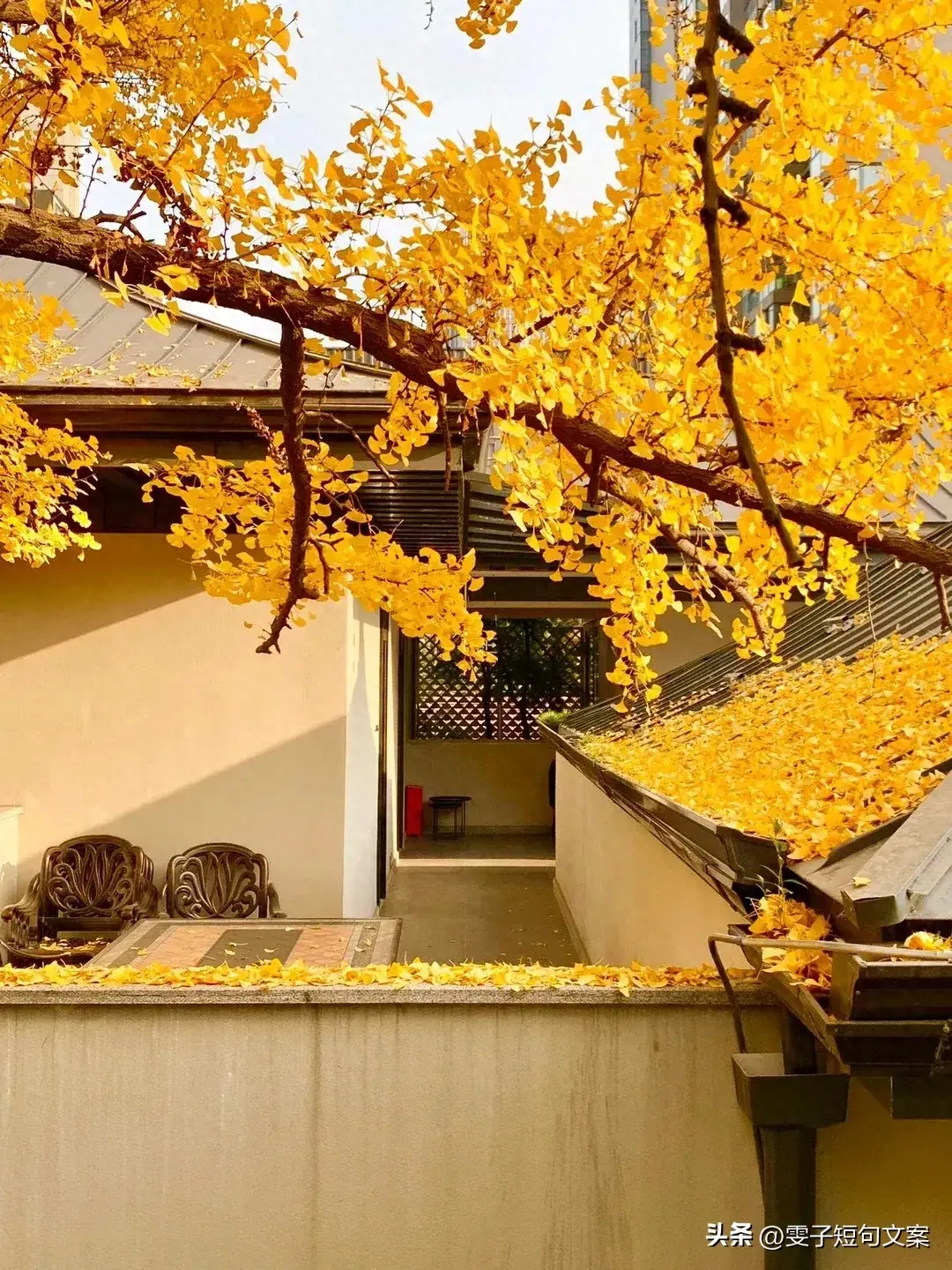 低谷期拉你上岸的温暖句子~低谷期经历的岁月，才是真正的人生(图1)