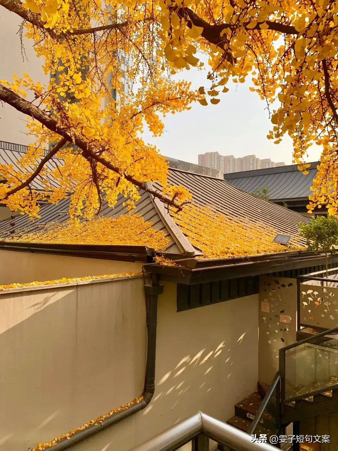 低谷期拉你上岸的温暖句子~低谷期经历的岁月，才是真正的人生(图2)