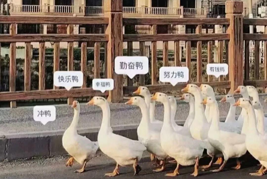 励志文案——我们终将上岸，阳光万里(图1)