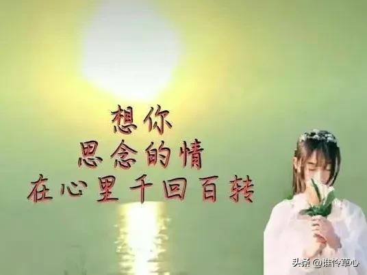 有你陪伴，四季如春，想你，人生的路上有你真好(图2)