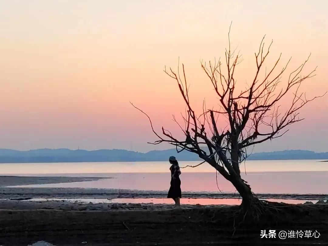 有你陪伴，四季如春，想你，人生的路上有你真好(图3)