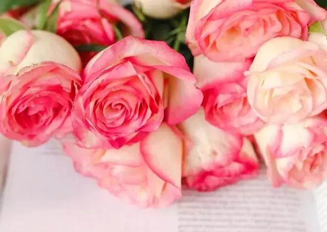 爱你，满心欢喜；余生有你，岁月如歌(图2)