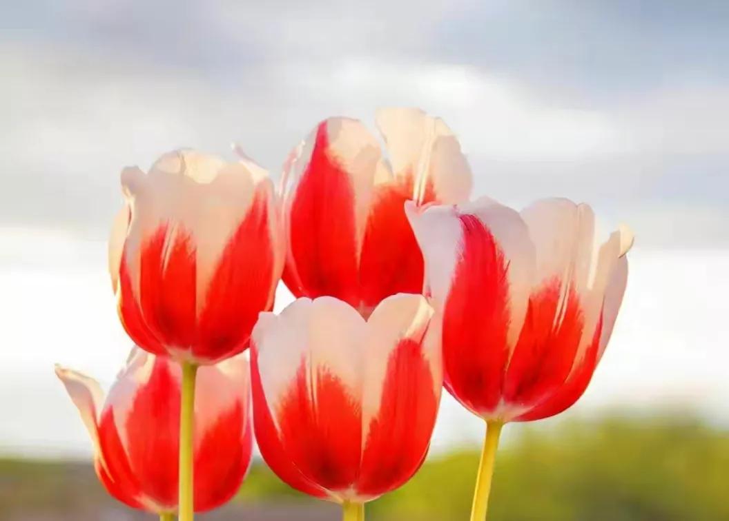 爱你，满心欢喜；余生有你，岁月如歌(图3)