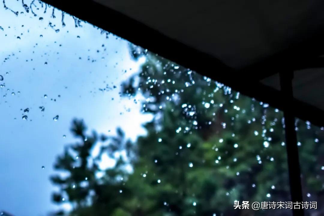 雨里有四季，雨里有年华(图1)