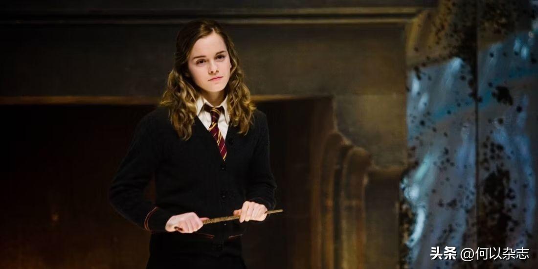 《哈利波特》：赫敏的十大梦想是什么？最后其实都实现了(图5)