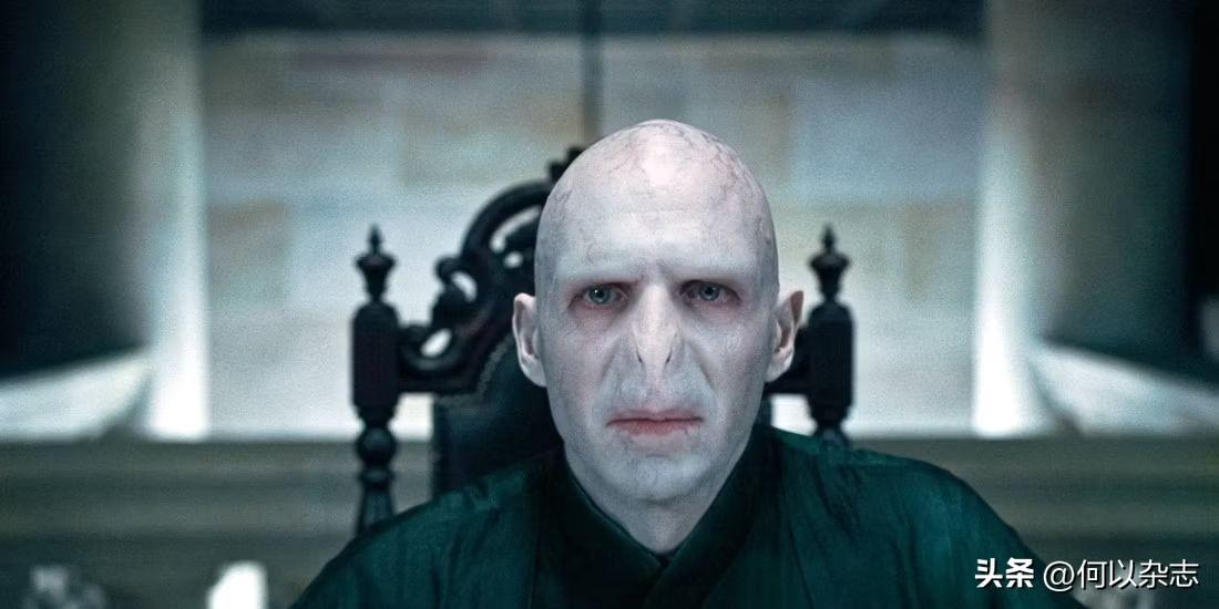 《哈利波特》：赫敏的十大梦想是什么？最后其实都实现了(图6)