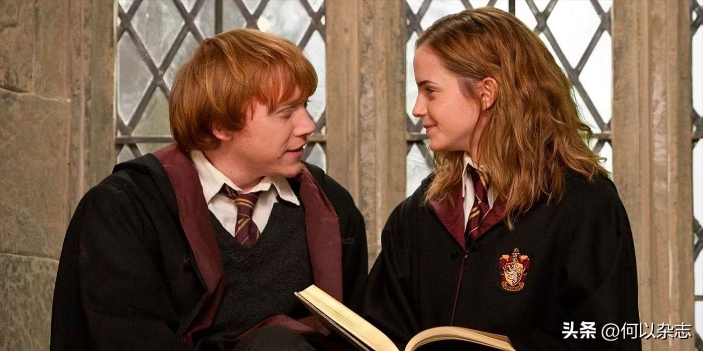 《哈利波特》：赫敏的十大梦想是什么？最后其实都实现了(图8)