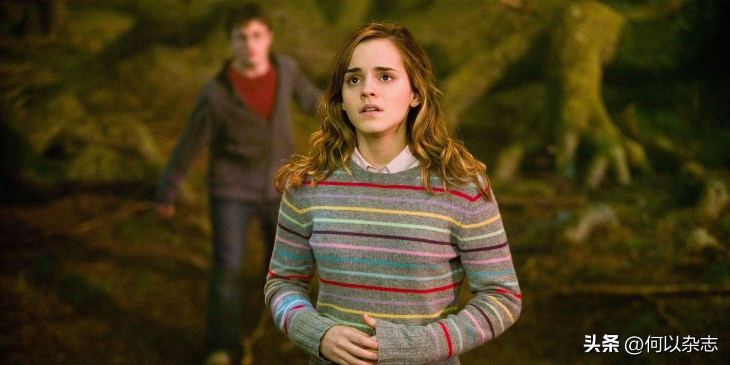 《哈利波特》：赫敏的十大梦想是什么？最后其实都实现了(图9)