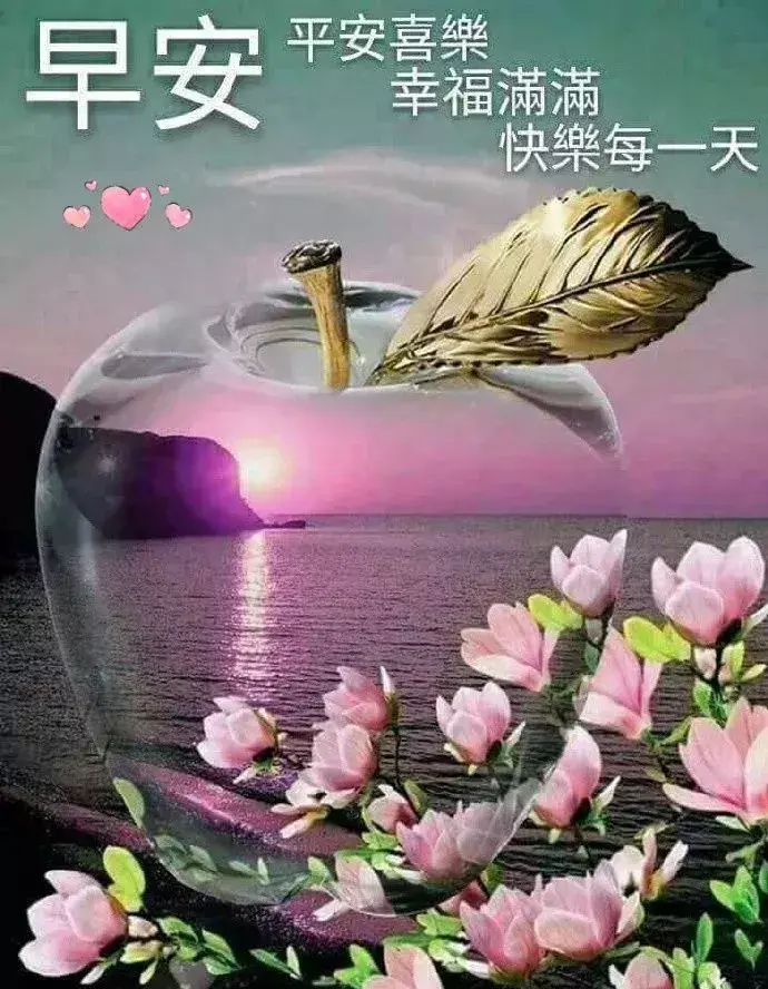 相遇很美，美到心动；缘分很暖，暖到落泪，早安(图1)