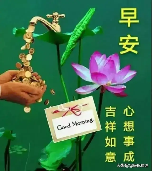 相遇很美，美到心动；缘分很暖，暖到落泪，早安(图3)