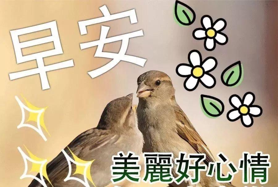 相遇很美，美到心动；缘分很暖，暖到落泪，早安(图7)