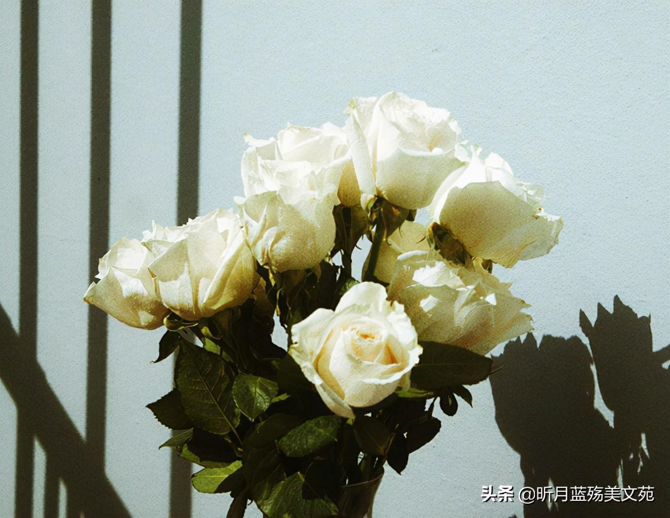 最美好的遇见，是与你相识，犹如故人归(图2)