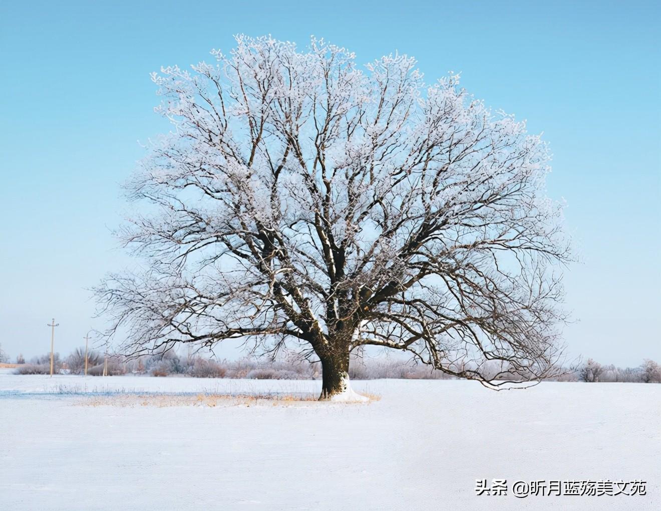 最美好的遇见，是与你相识，犹如故人归(图4)