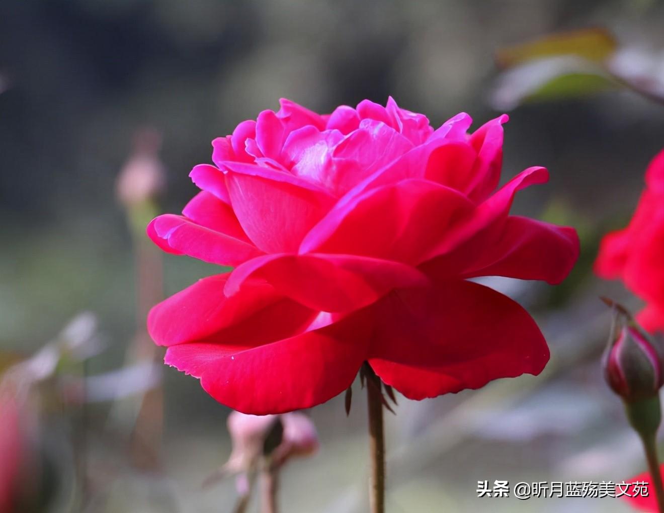 最美好的遇见，是与你相识，犹如故人归(图6)