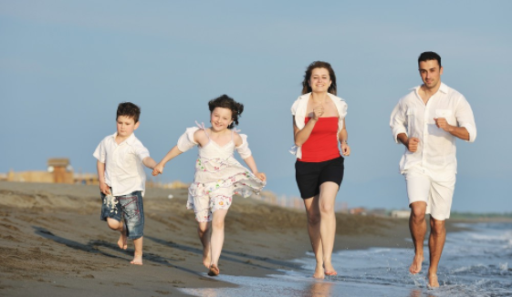 小学生同步优秀作文（211） 小小动物园(图1)