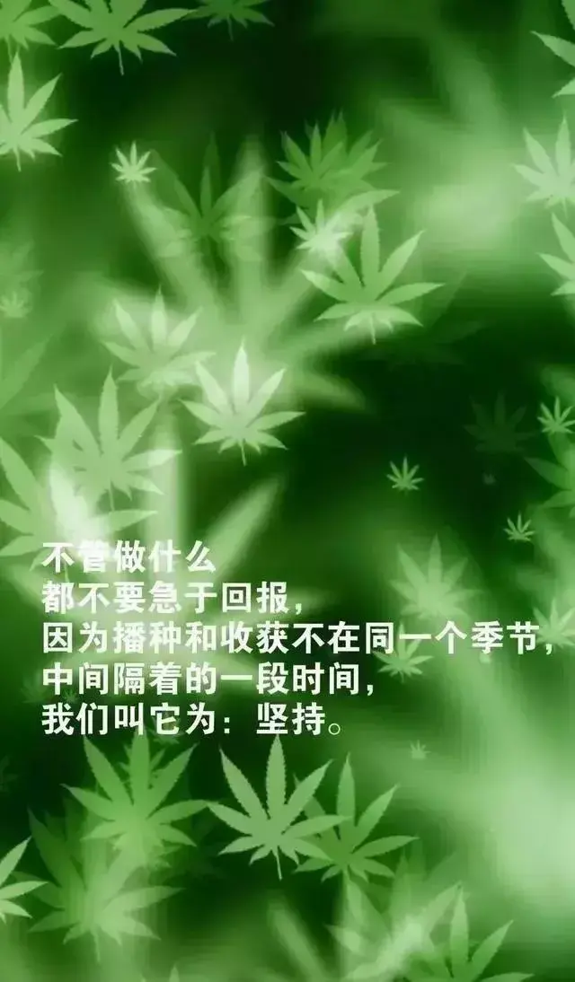 努力奋斗的早安句子，适合发朋友圈的早安心语正能量(图8)
