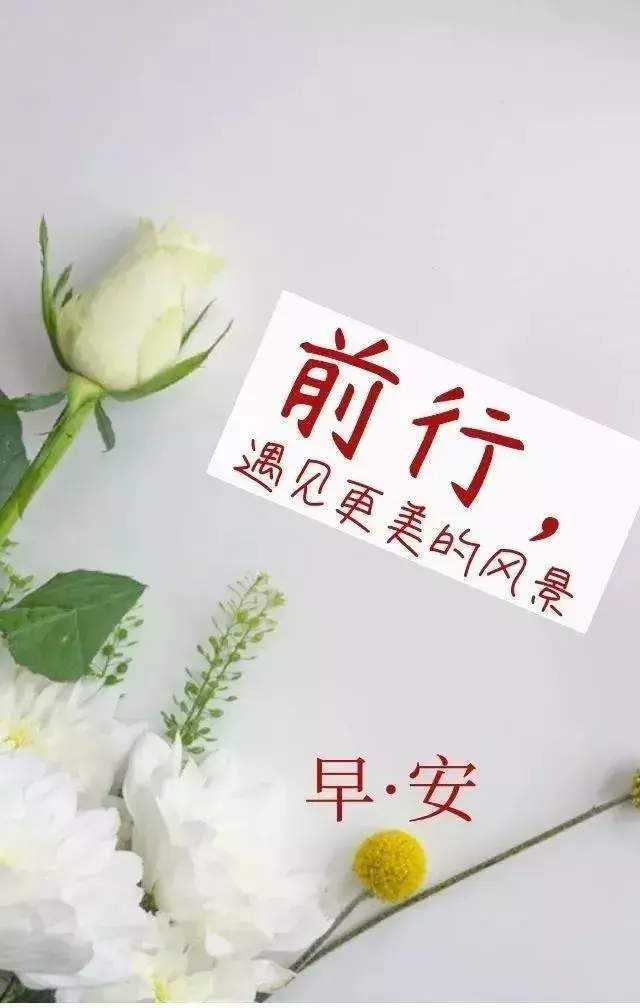 努力奋斗的早安句子，适合发朋友圈的早安心语正能量(图9)