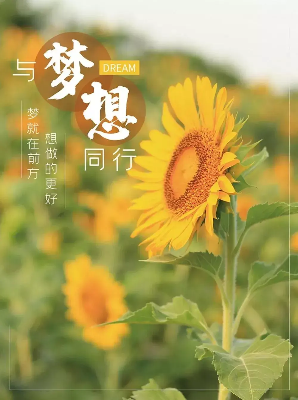 努力奋斗的早安句子，适合发朋友圈的早安心语正能量(图10)