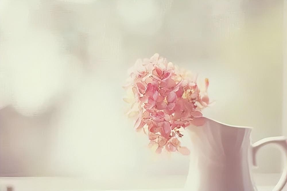 离乡之人必看！想家的文案，陪你共度思乡之情(图1)