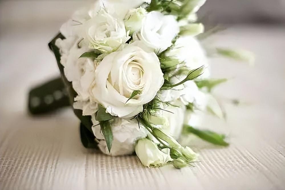 离乡之人必看！想家的文案，陪你共度思乡之情(图4)