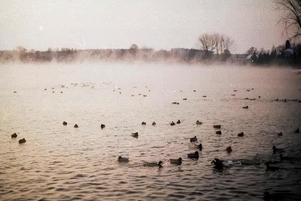 离乡之人必看！想家的文案，陪你共度思乡之情(图5)