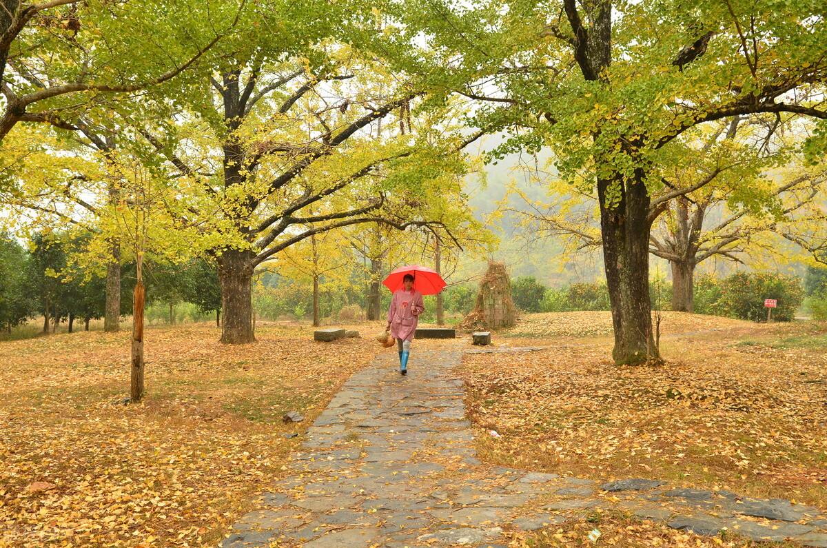 20句写给故乡文案，小孩眺望远方，成人怀念故乡(图4)