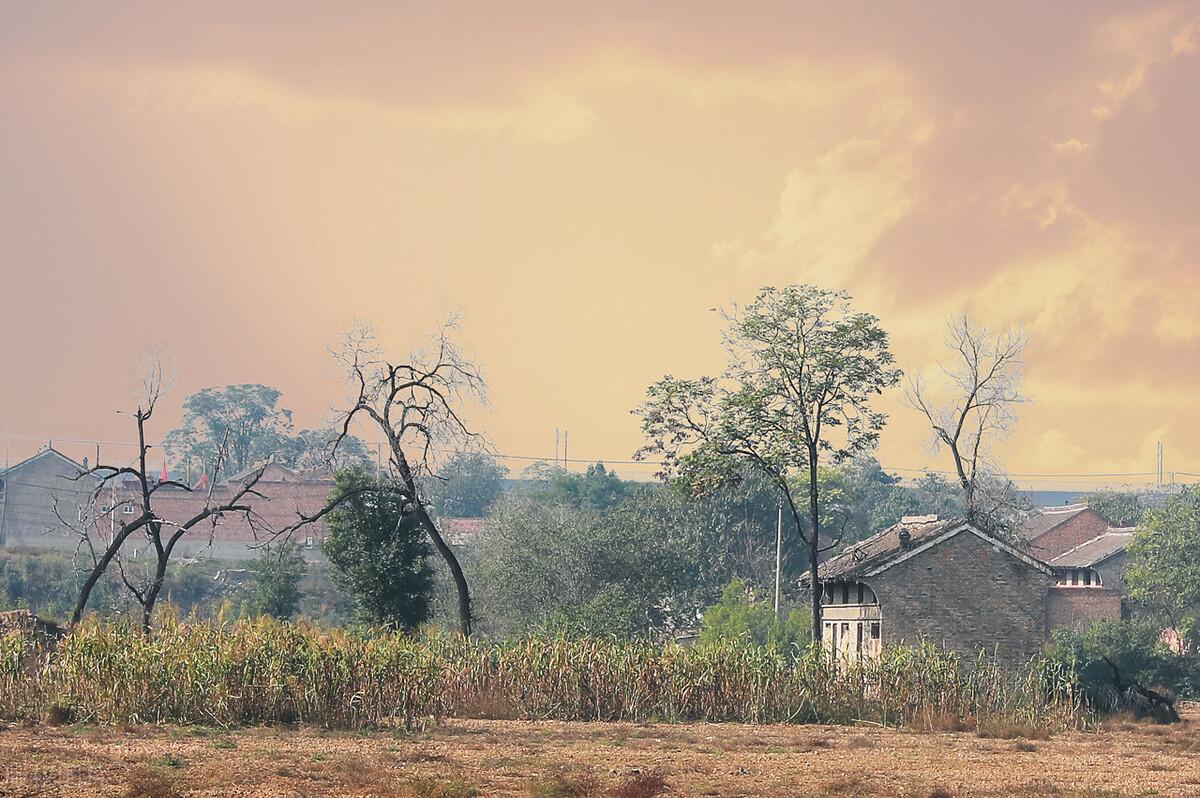 20句写给故乡文案，小孩眺望远方，成人怀念故乡(图7)