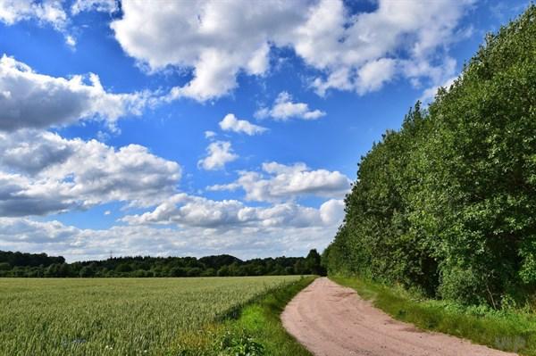 梦想不是光靠想，只想不做，那终究是个梦，句句正能量(图4)