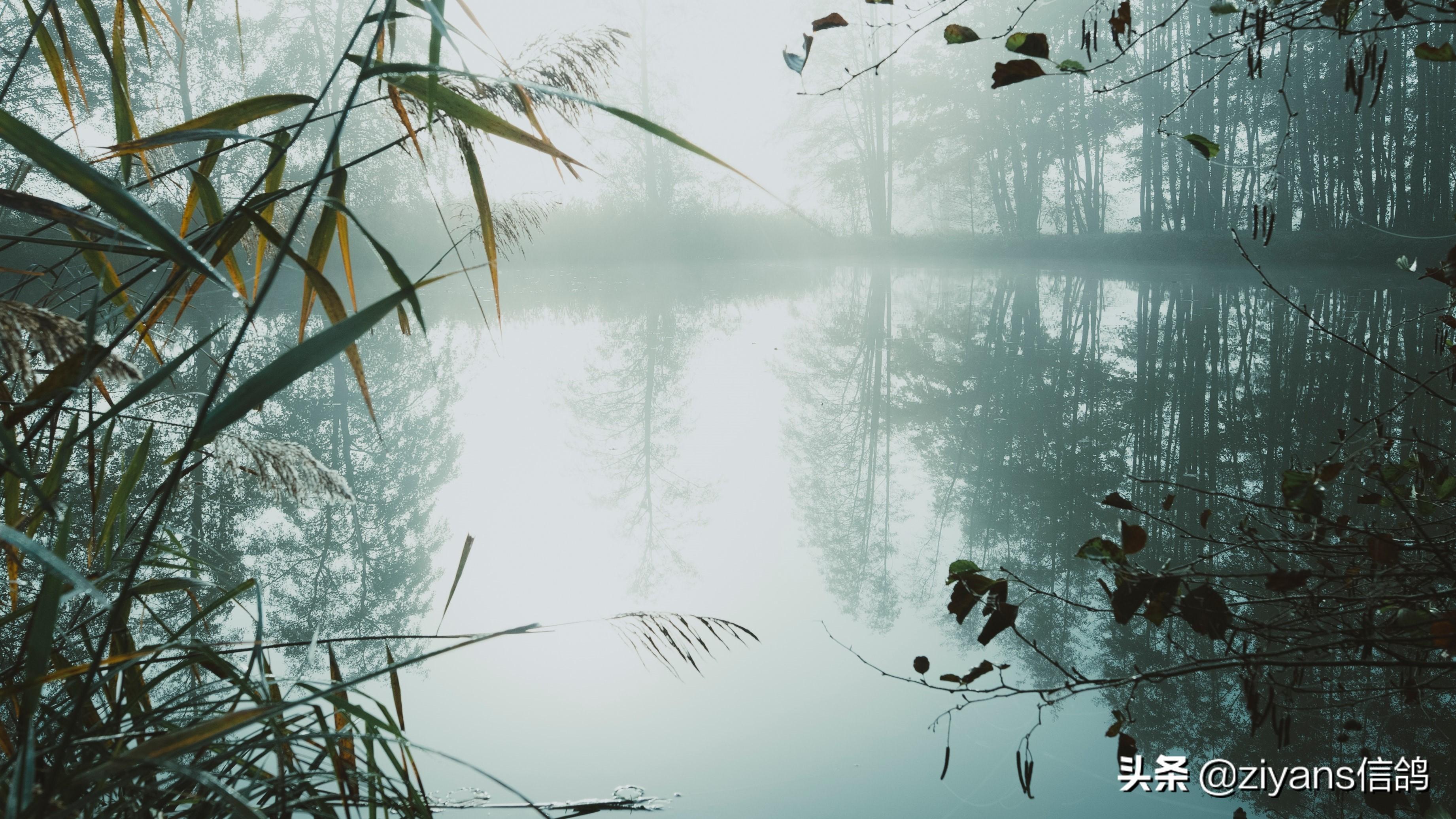 惬意又治愈的诗意生活文案：梦想的生活(图2)