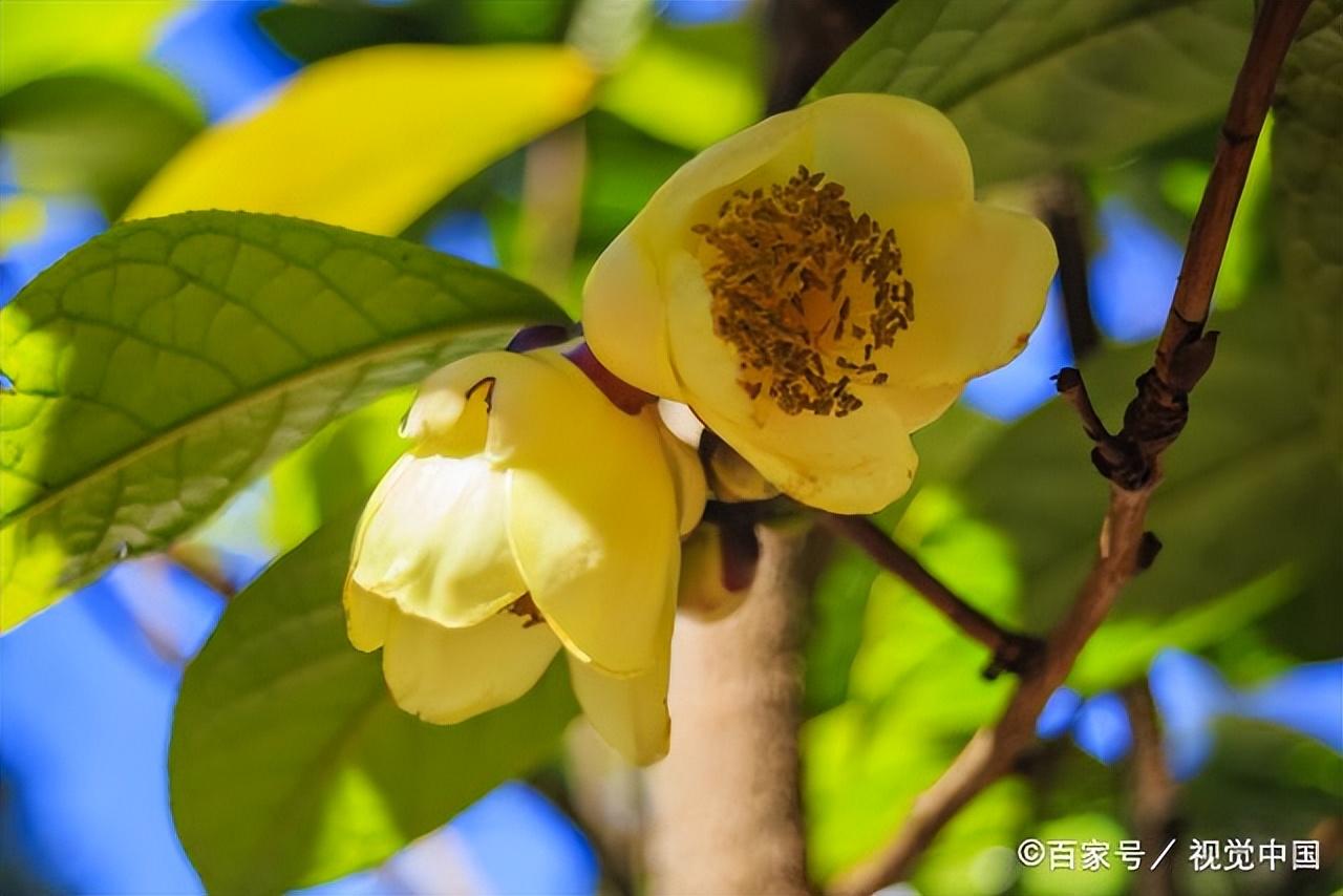 鼓励孩子100金句(图3)