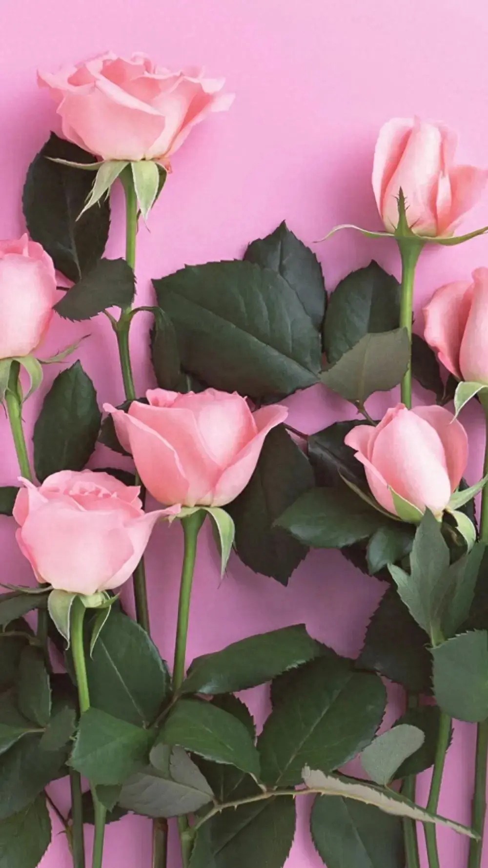 01 鼓励孩子积极向上的5句话 1.我的女儿（儿子...(图1)