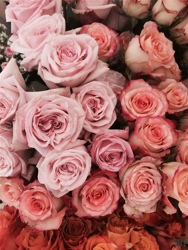 伤感的爱情短句，那些年情深缘浅！(图1)