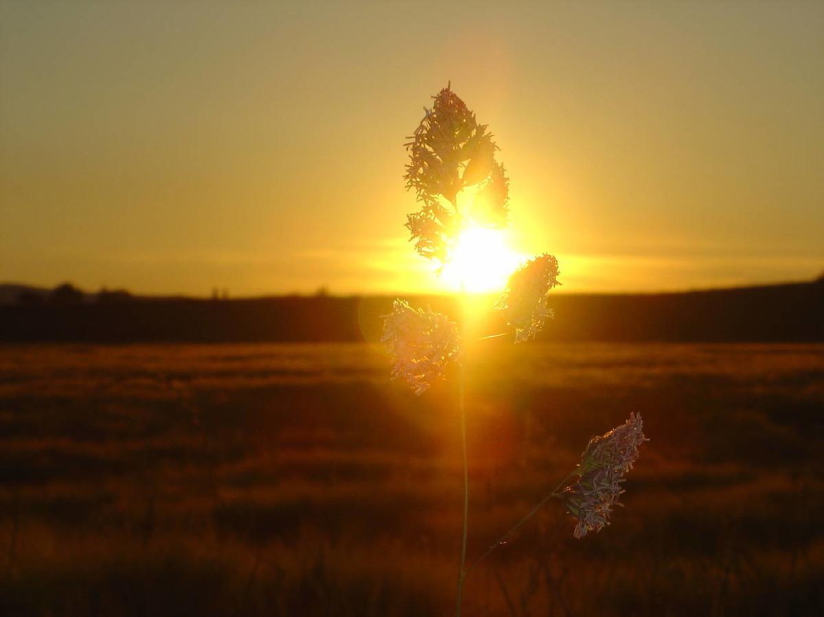 42个再经典不过的电影电视剧句子，满满都是回忆(图6)