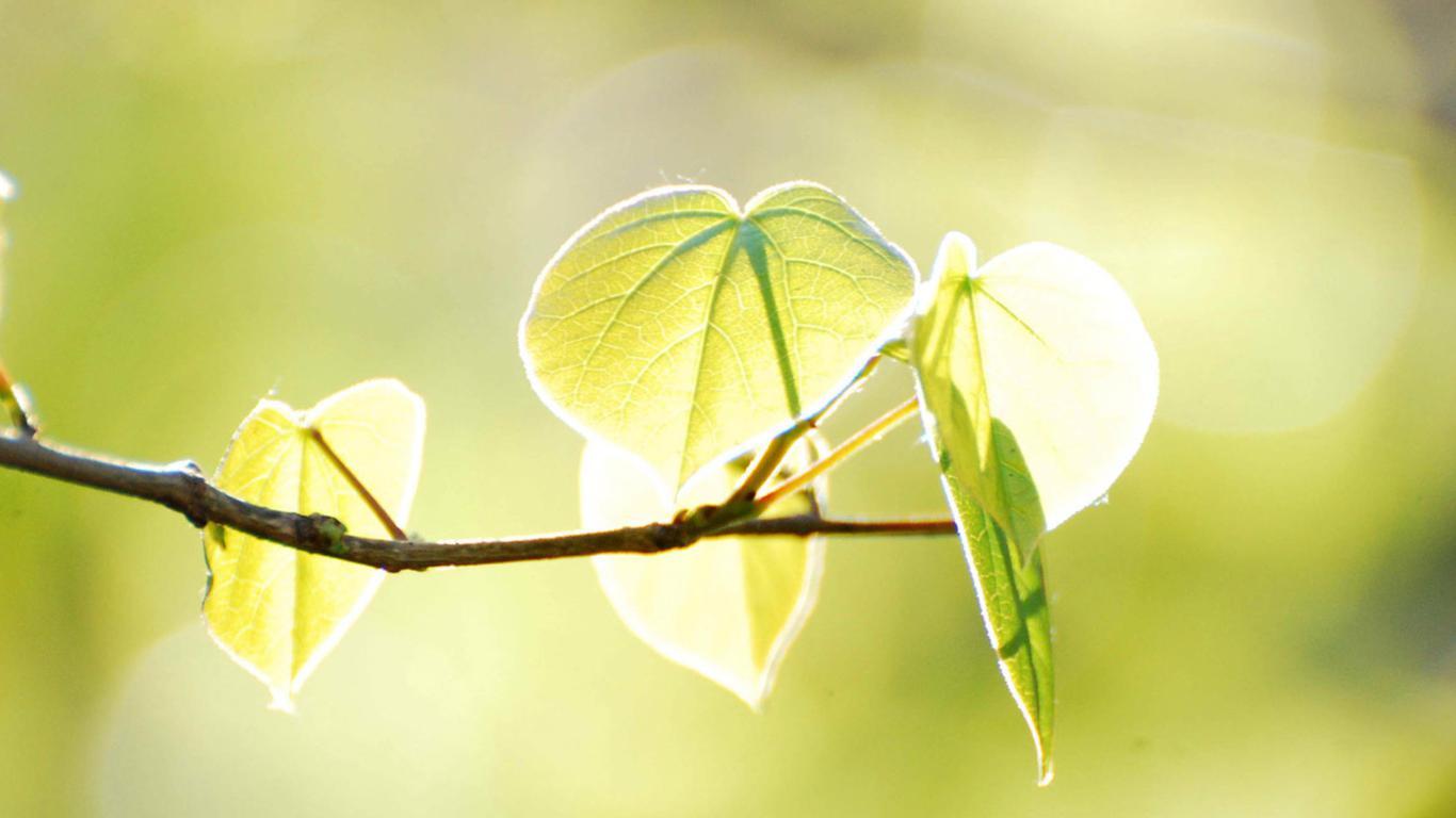 42个再经典不过的电影电视剧句子，满满都是回忆(图14)