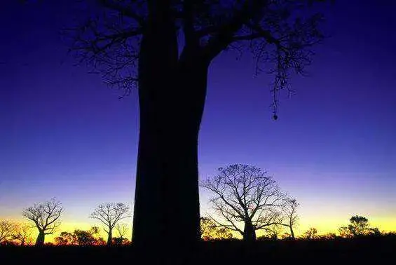 精心整理128句名人名著金句，句句经典，值得收藏，有时间慢慢看(图9)