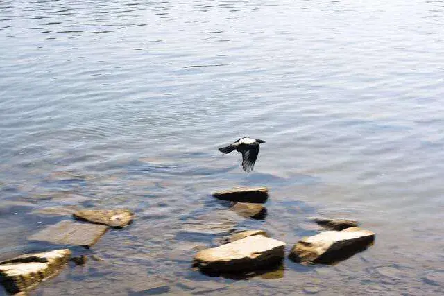 精心整理128句名人名著金句，句句经典，值得收藏，有时间慢慢看(图13)