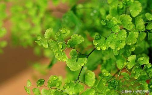 致自己看淡看透人生的经典句子，句句感悟透彻！(图1)