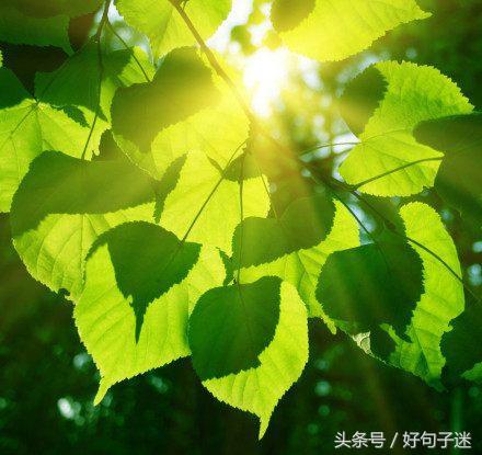 致自己看淡看透人生的经典句子，句句感悟透彻！(图3)