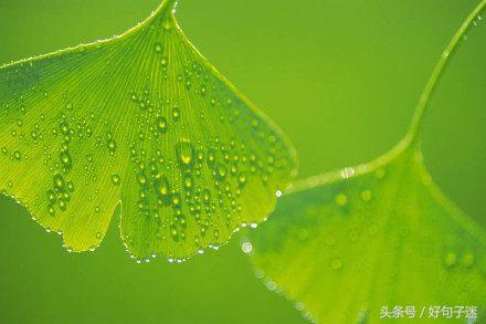 致自己看淡看透人生的经典句子，句句感悟透彻！(图4)